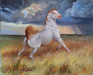 "Storm Chaser" Barbara S. Lewis