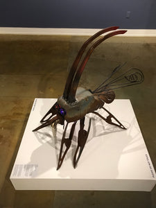 "Bazillion Rock Hopper" Tom Flynn