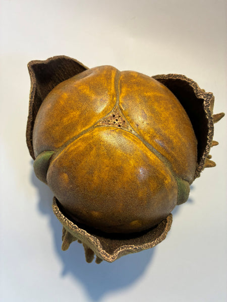 "Breaking Open" Angela Browning