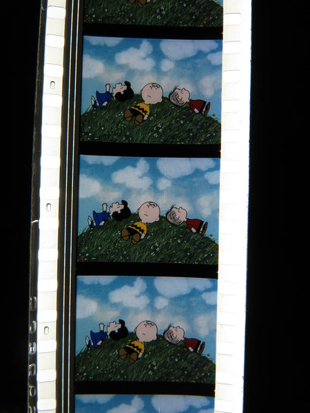 Actual Film Strips