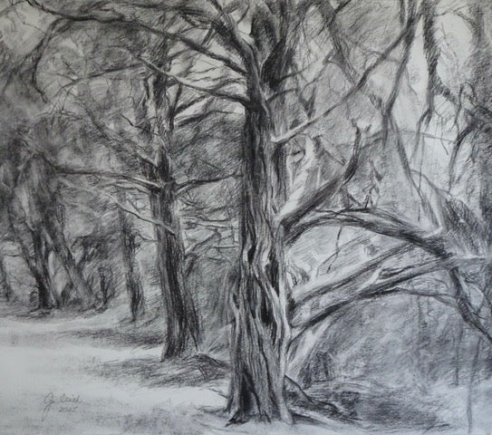 "Cedar Glade" Joan Irish