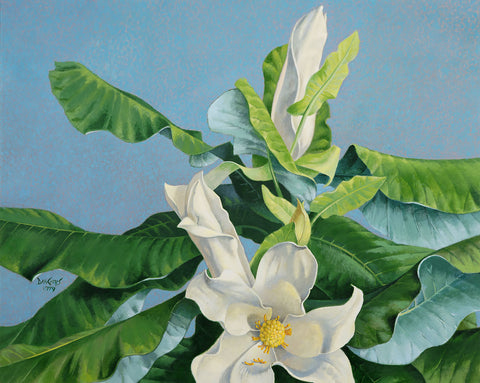 "Magnolia"