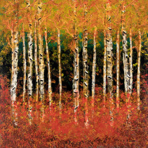 "Fall Birch Trees"