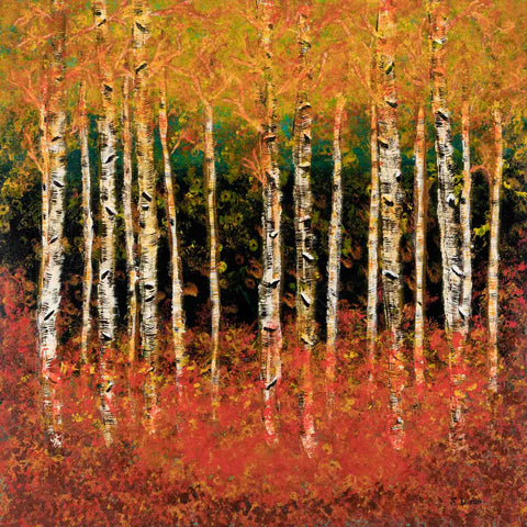"Fall Birch Trees"
