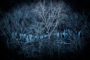 "Dragon Teeth" Dena Creamer