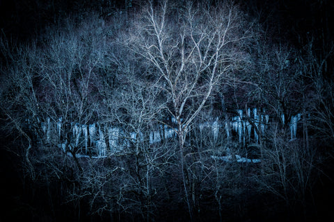 "Dragon Teeth" Dena Creamer