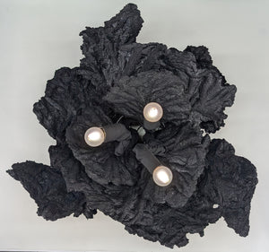 "Fucoid Arrangement No. 11" Robert Lemming