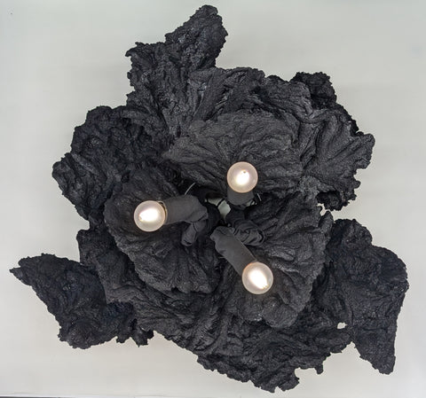"Fucoid Arrangement No. 11" Robert Lemming