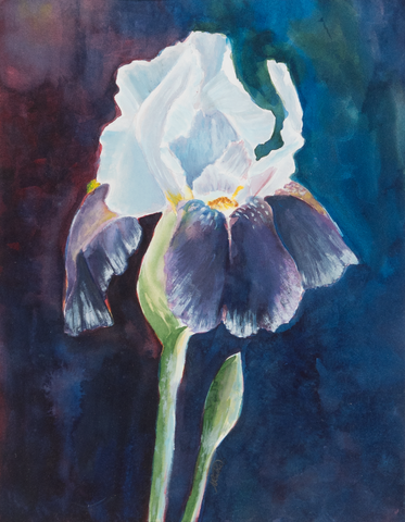 "Iris"